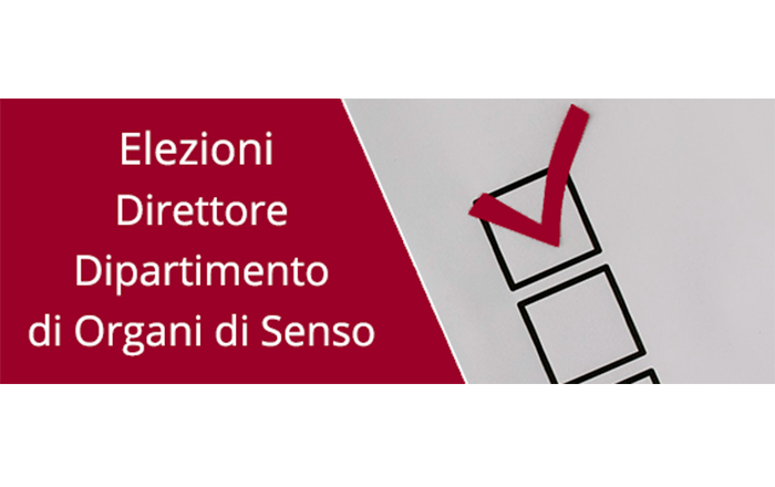 elezioni