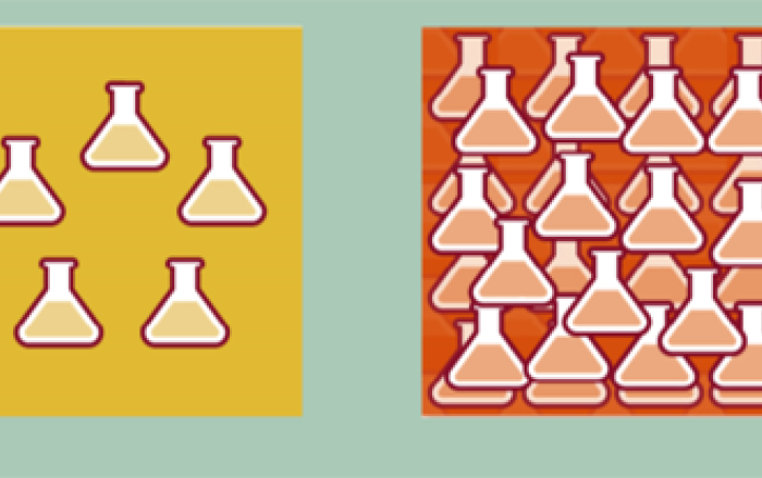 ricerca